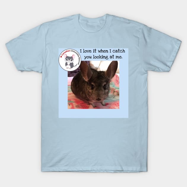 Chinchilla Love T-Shirt by canchinrescue